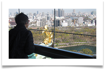 Osaka Medieval and Modern Power Towers - Jenny Pearce